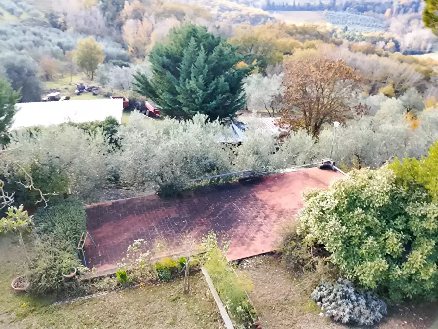 Immagine 9 di Rustico / casale in vendita  a Montespertoli