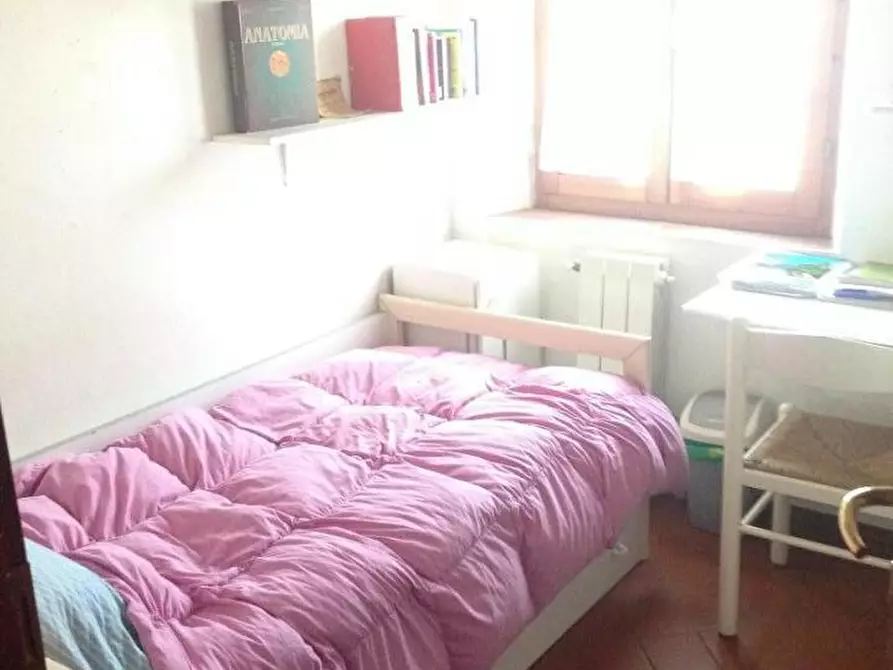 Immagine 6 di Appartamento in affitto  a Pisa