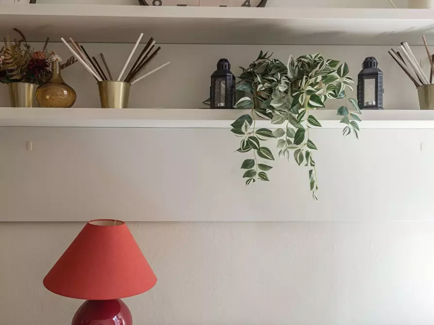Immagine 4 di Appartamento in affitto  a Pisa