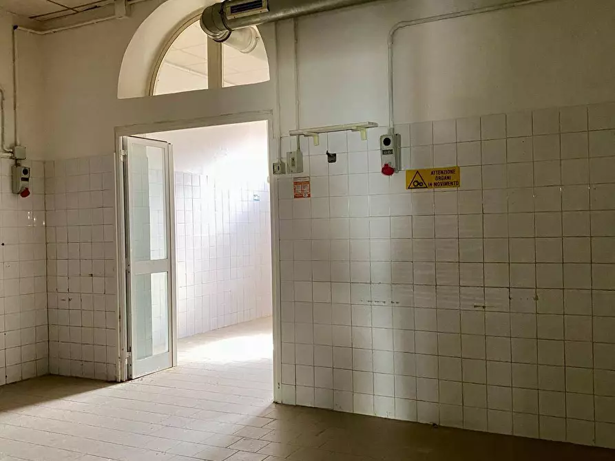 Immagine 9 di Locale commerciale in vendita  a Vecchiano