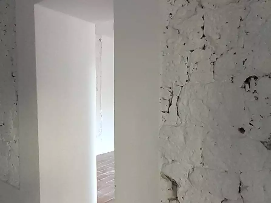 Immagine 5 di Locale commerciale in affitto  a Pisa