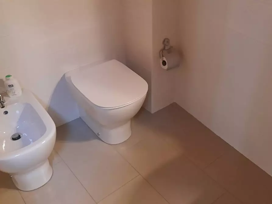 Immagine 6 di Camera in affitto  a Pisa