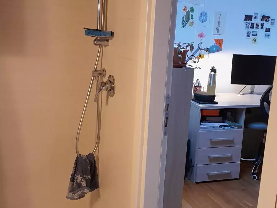 Immagine 5 di Camera in affitto  a Pisa