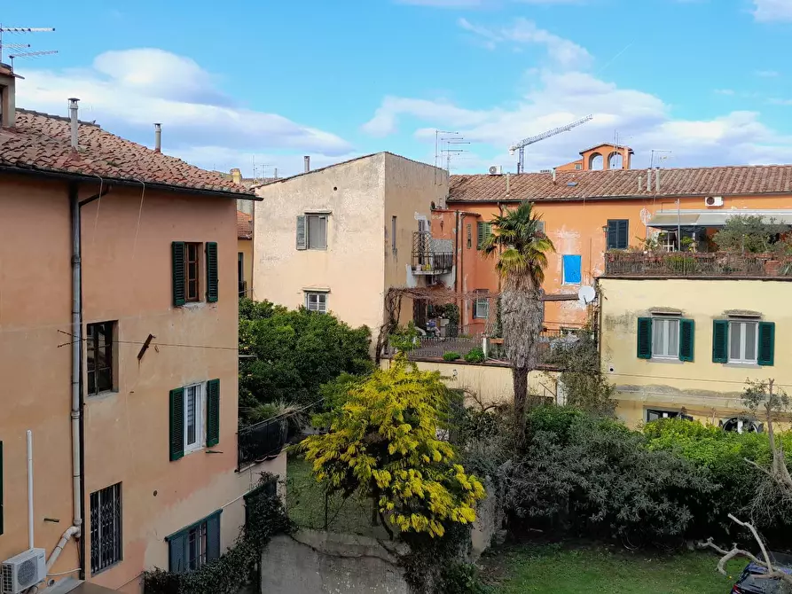 Immagine 25 di Appartamento in affitto  a Pisa