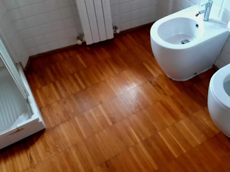 Immagine 21 di Appartamento in affitto  a Pisa