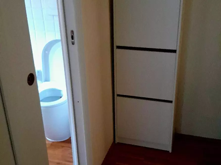 Immagine 20 di Appartamento in affitto  a Pisa