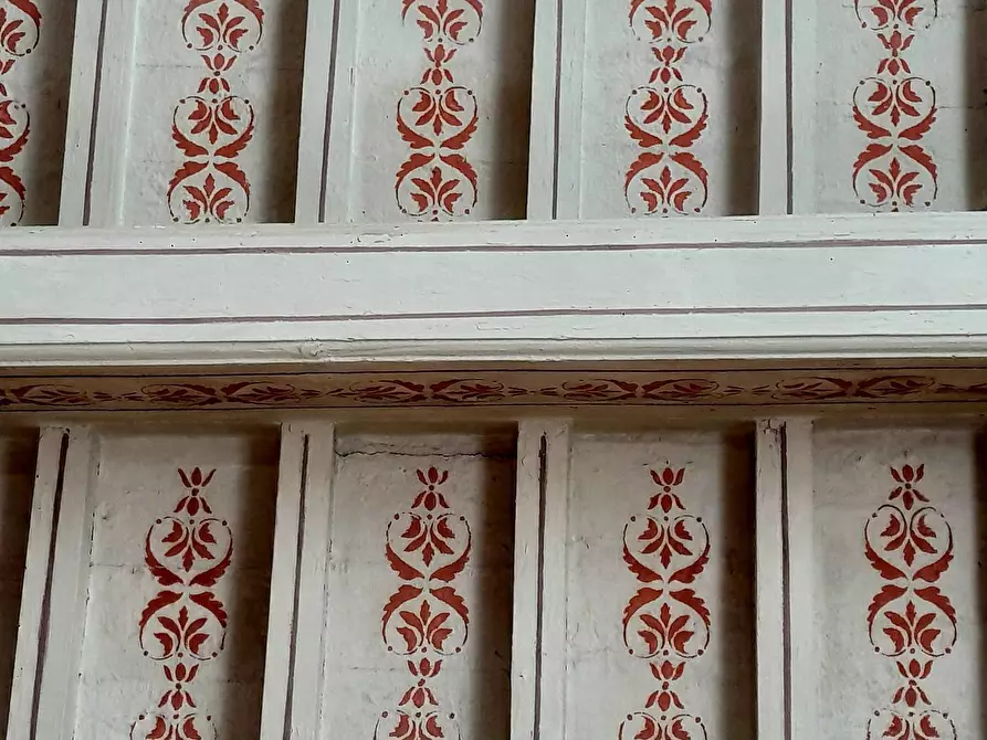 Immagine 27 di Appartamento in affitto  a Pisa