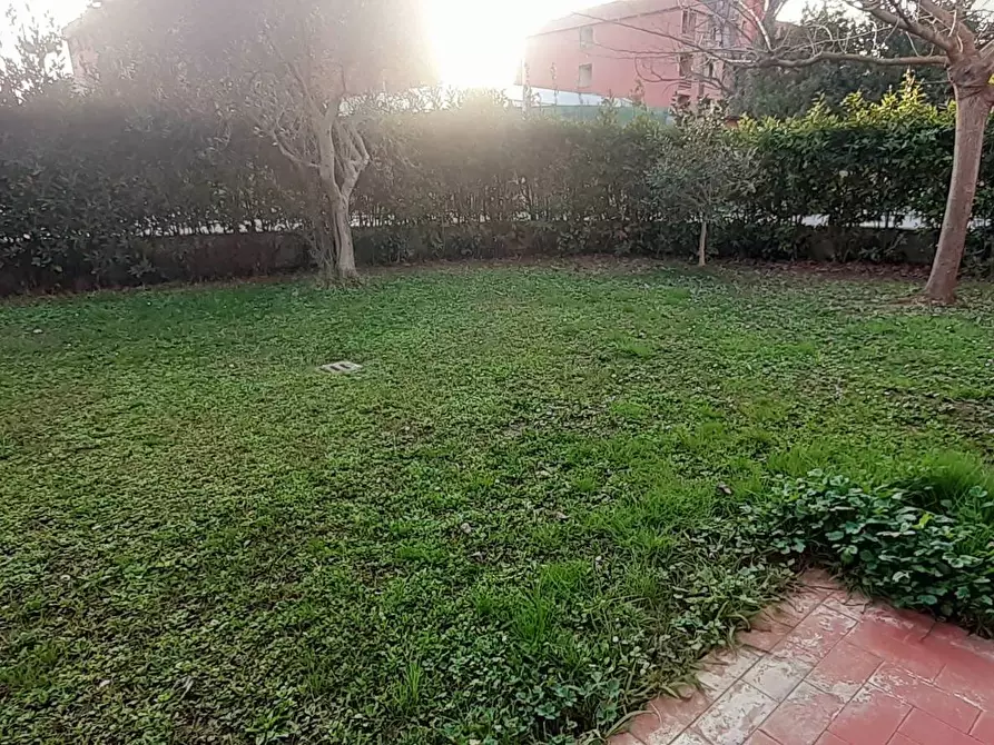 Immagine 26 di Appartamento in affitto  a Pisa