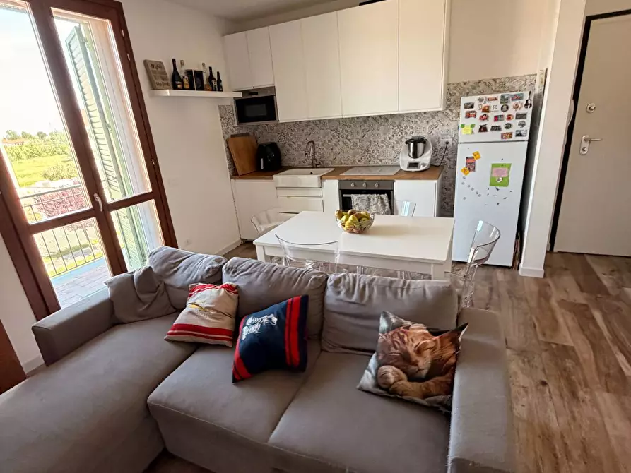 Immagine 3 di Appartamento in vendita  a Cascina