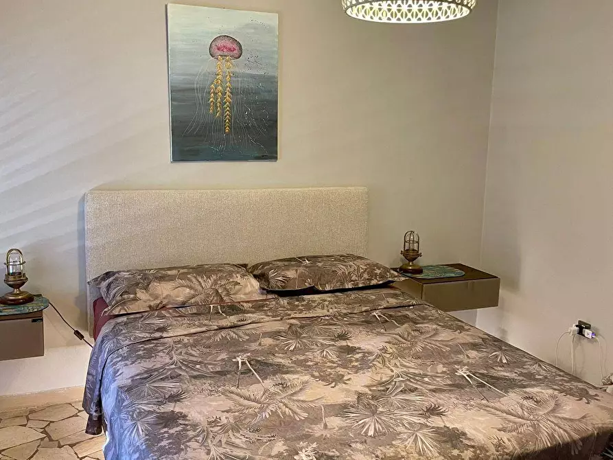 Immagine 5 di Appartamento in affitto  a Pisa