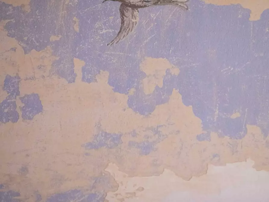 Immagine 26 di Appartamento in affitto  a Pisa