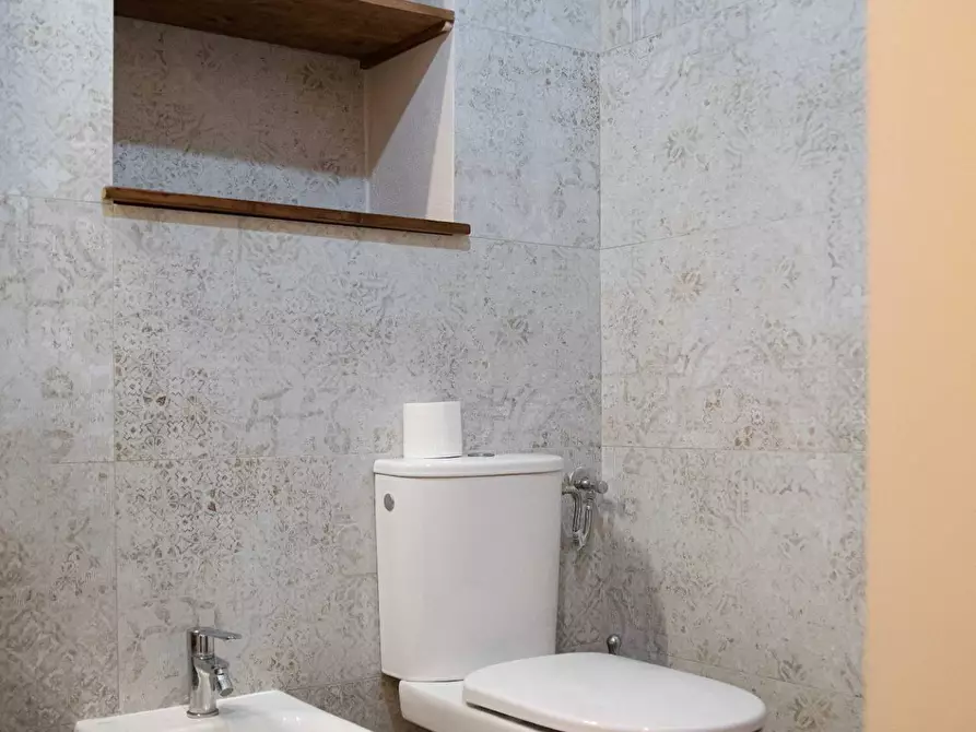 Immagine 11 di Appartamento in affitto  a Pisa