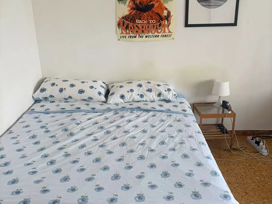 Immagine 3 di Appartamento in affitto  a Pisa