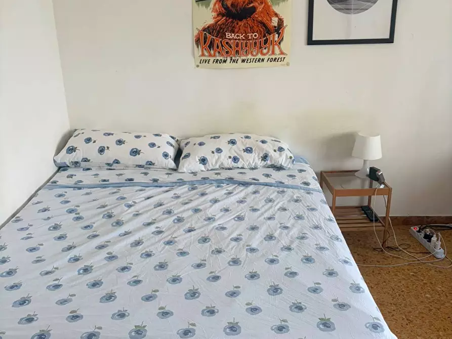 Immagine 23 di Appartamento in affitto  a Pisa