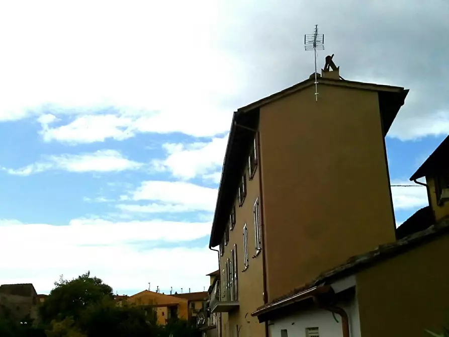 Immagine 15 di Camera in affitto  a Pisa