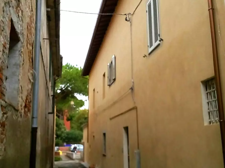 Immagine 16 di Camera in affitto  a Pisa