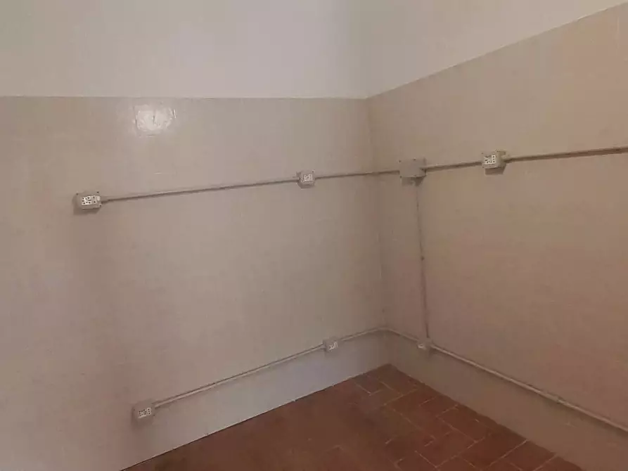 Immagine 20 di Locale commerciale in affitto  a Pisa