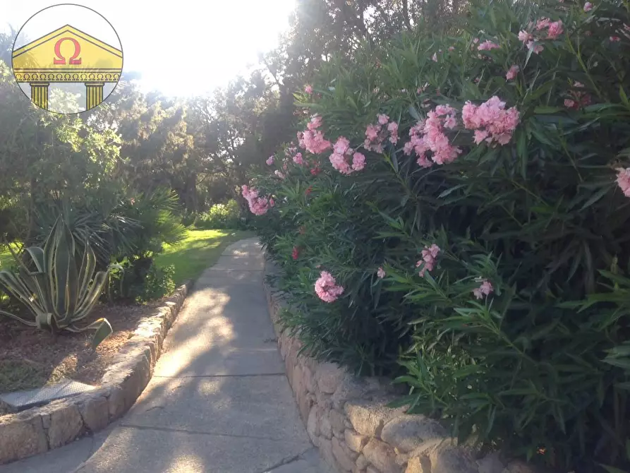 Immagine 3 di Appartamento in vendita  a Olbia