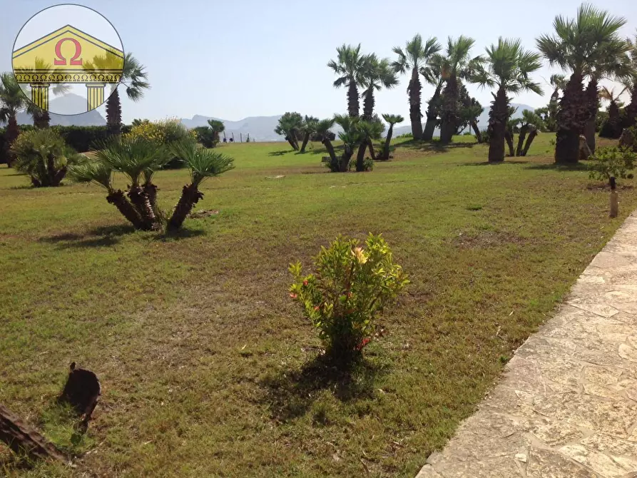 Immagine 3 di Appartamento in vendita  a Valderice