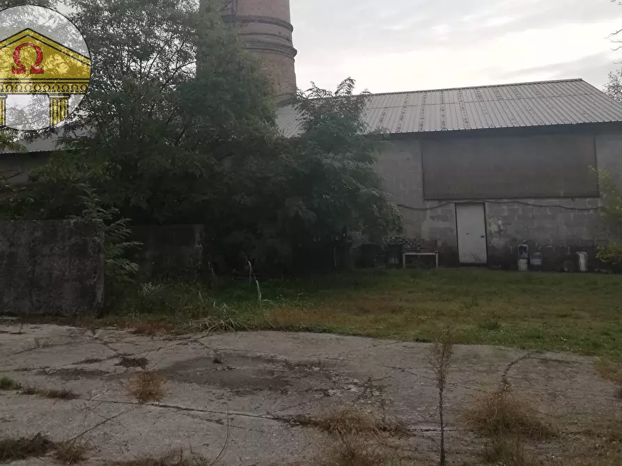 Immagine 3 di Villa in vendita  a Maserada Sul Piave