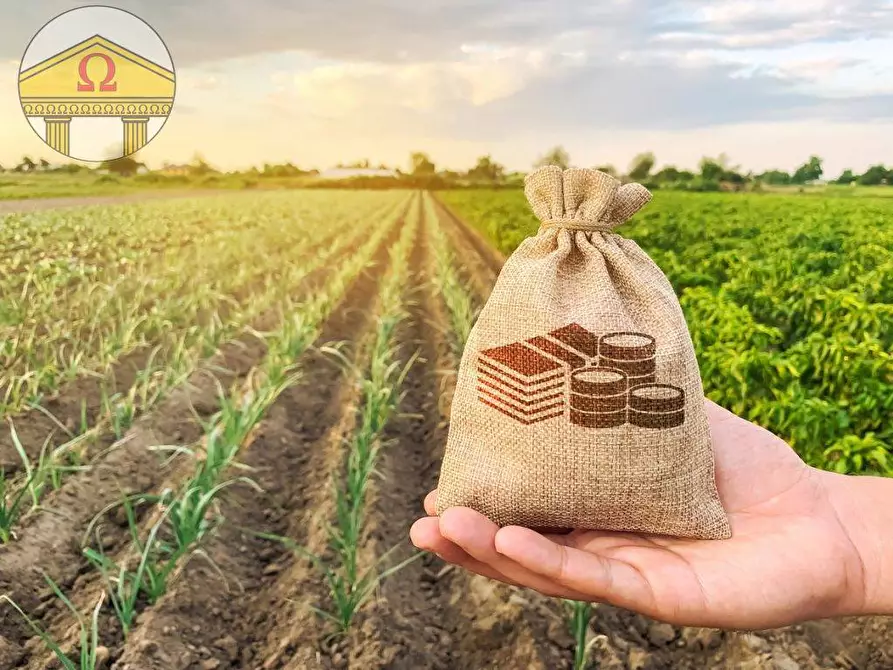 Immagine 4 di Terreno agricolo in vendita  a Treviso