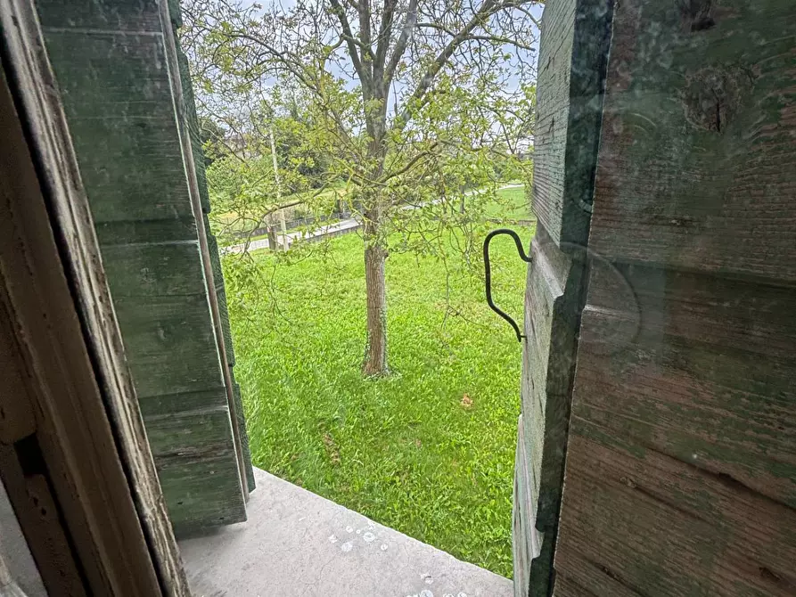 Immagine 3 di Villa in vendita  a San Biagio Di Callalta