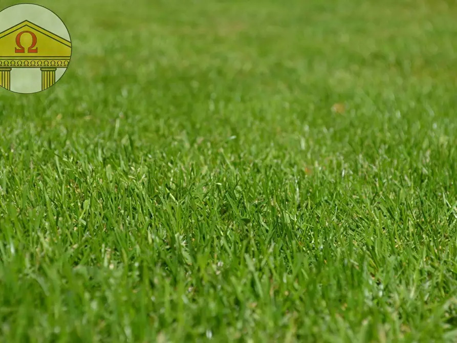 Immagine 1 di Terreno residenziale in vendita  a Treviso