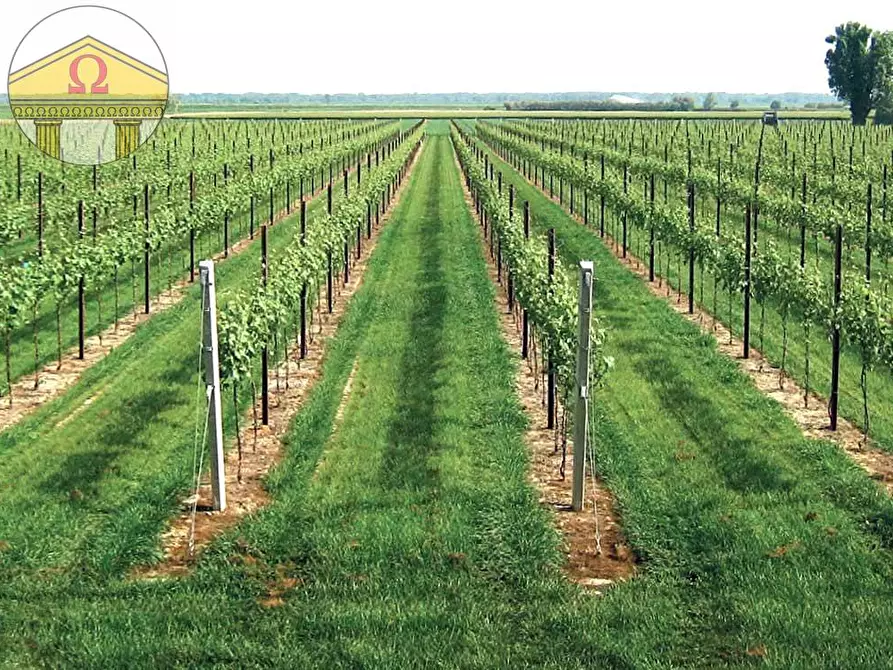 terreno agricolo in vendita a Treviso in zona Ponzano