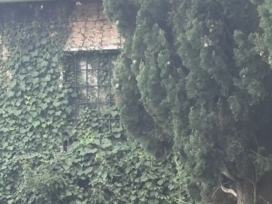 Immagine 4 di Villa in vendita  a Miane