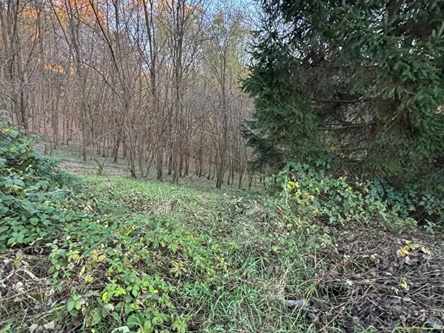 Immagine 2 di Rustico / casale in vendita  a Volpago Del Montello