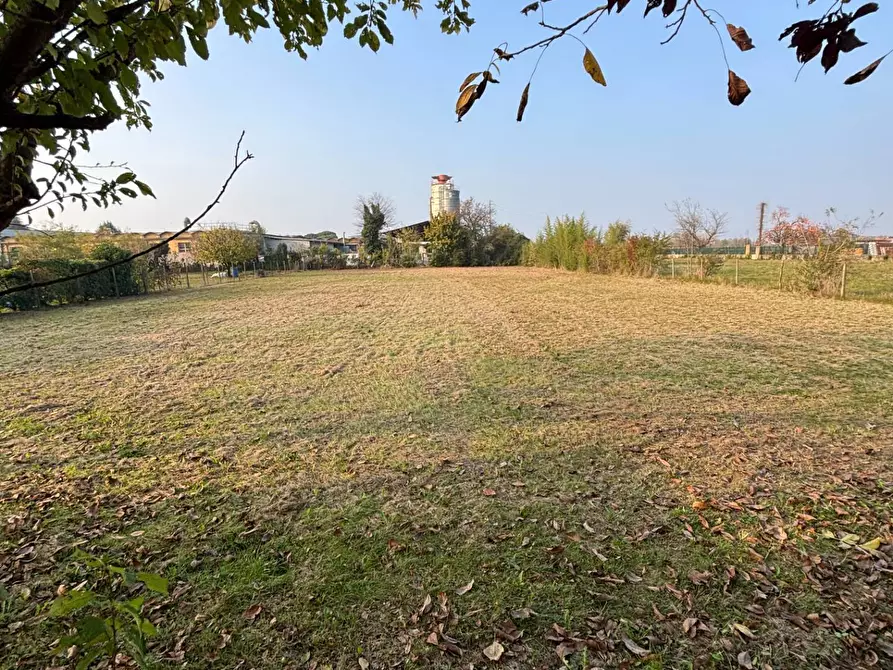 Immagine 3 di Rustico / casale in vendita  a Miane