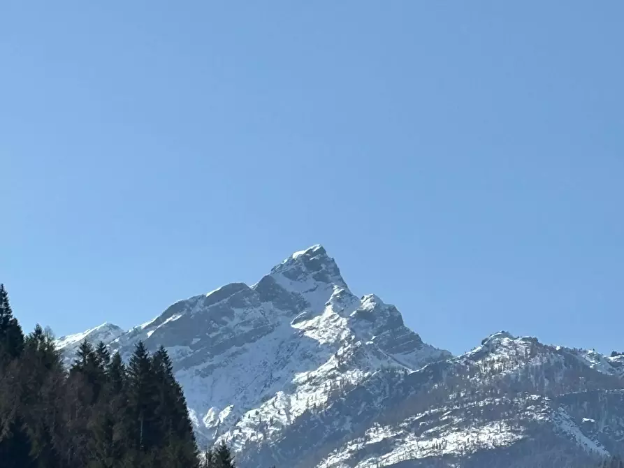 Immagine 23 di Appartamento in vendita  a Canale D'agordo