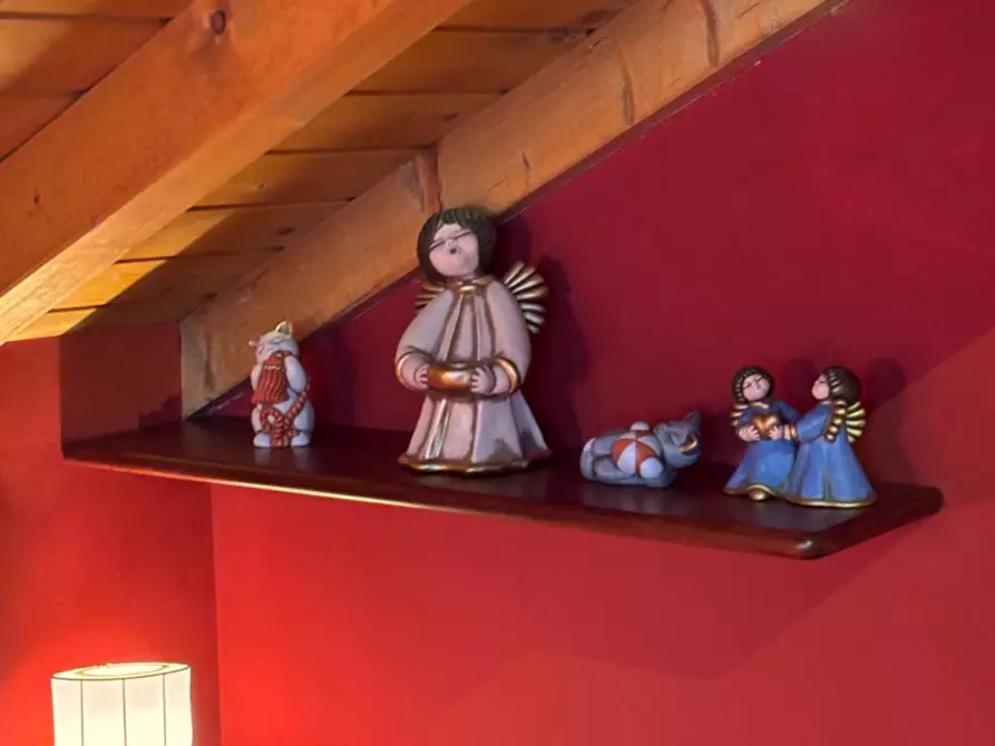 Immagine 21 di Appartamento in vendita  a Canale D'agordo