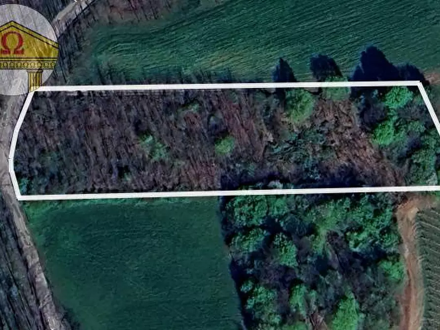 Immagine 1 di Terreno agricolo in vendita  a Crocetta Del Montello