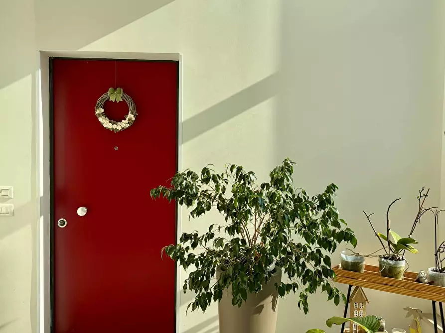 Immagine 4 di Appartamento in vendita  a Treviso