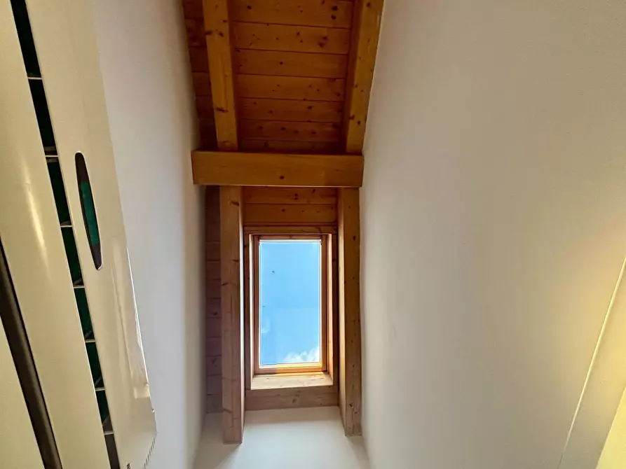 Immagine 6 di Appartamento in vendita  a Treviso