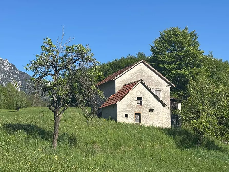 Immagine 3 di Rustico / casale in vendita  a Castellavazzo