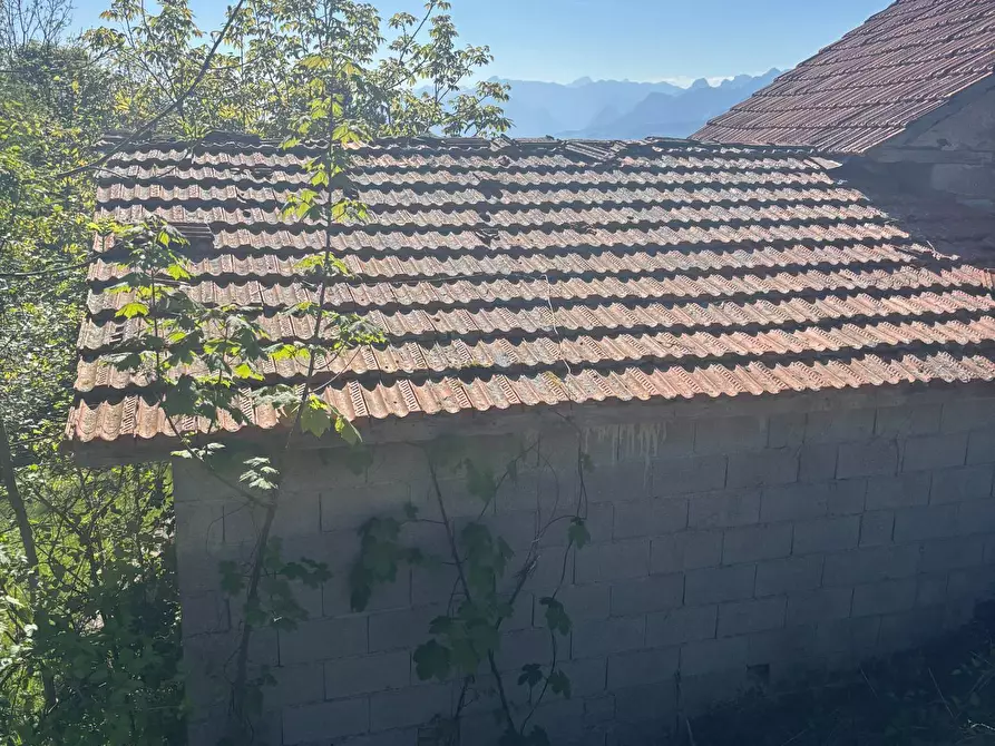 Immagine 21 di Rustico / casale in vendita  a Castellavazzo
