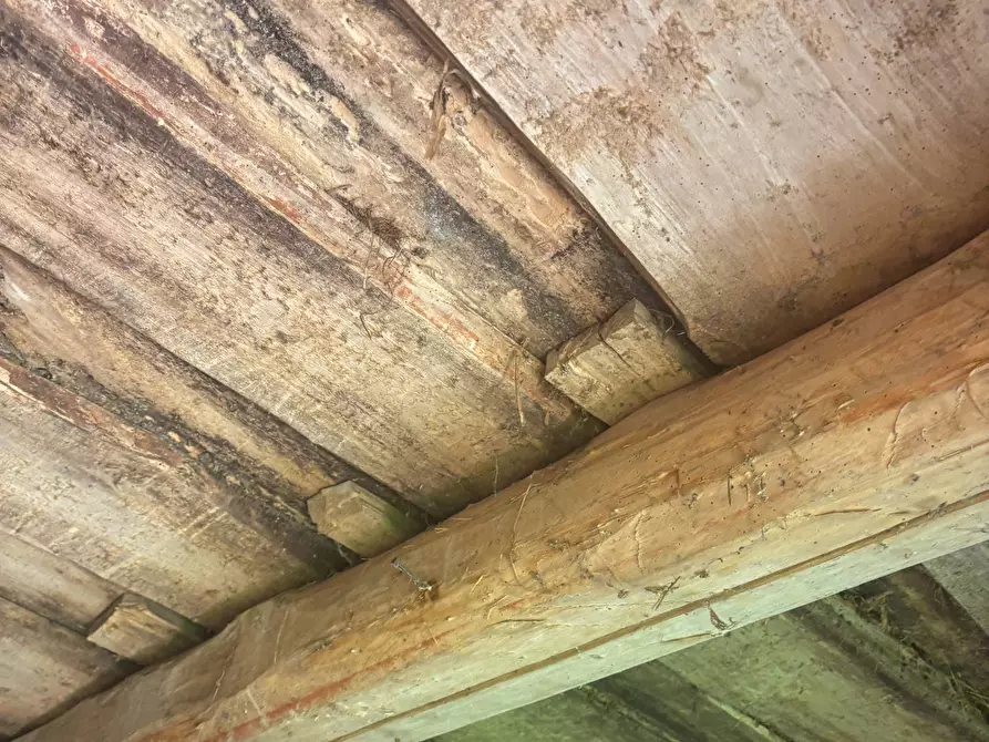 Immagine 16 di Rustico / casale in vendita  a Castellavazzo