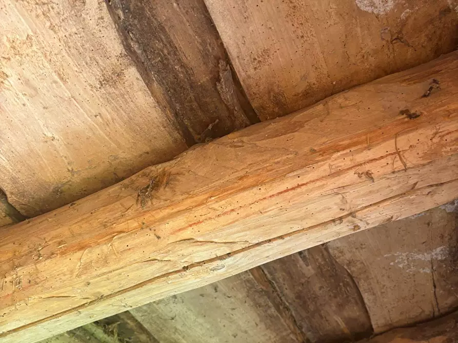 Immagine 14 di Rustico / casale in vendita  a Castellavazzo