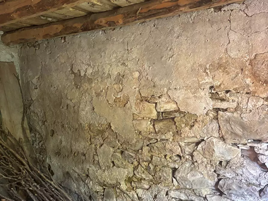 Immagine 17 di Rustico / casale in vendita  a Castellavazzo