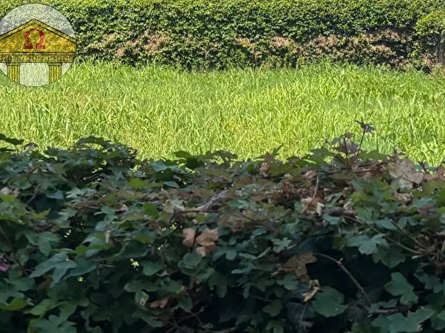 Immagine 1 di Terreno residenziale in vendita  a Treviso