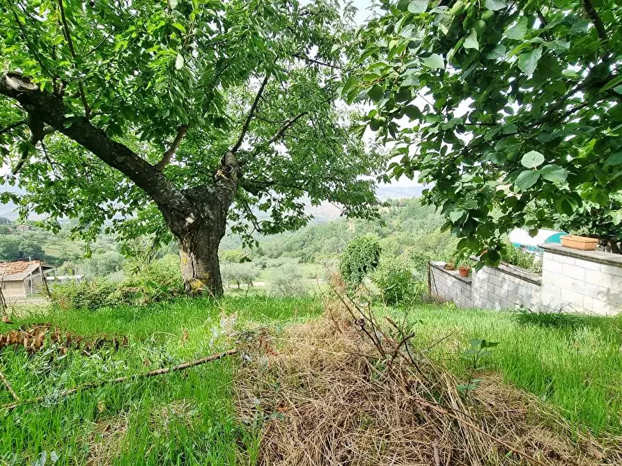 Immagine 17 di Casa indipendente in vendita  in via addolorata a Carife