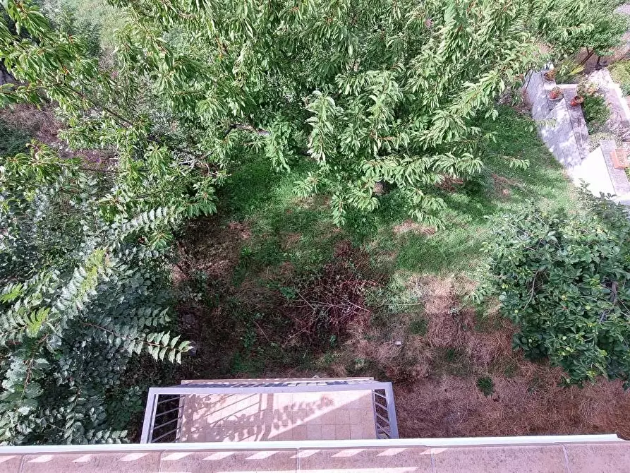 Immagine 18 di Casa indipendente in vendita  in via addolorata a Carife