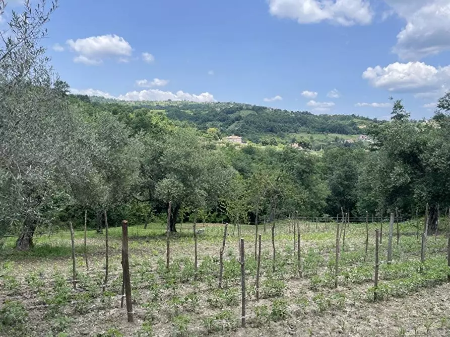 Immagine 4 di Casa indipendente in vendita  in macchia del monte a Andretta