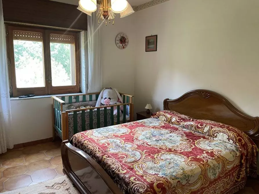 Immagine 12 di Casa indipendente in vendita  in macchia del monte a Andretta