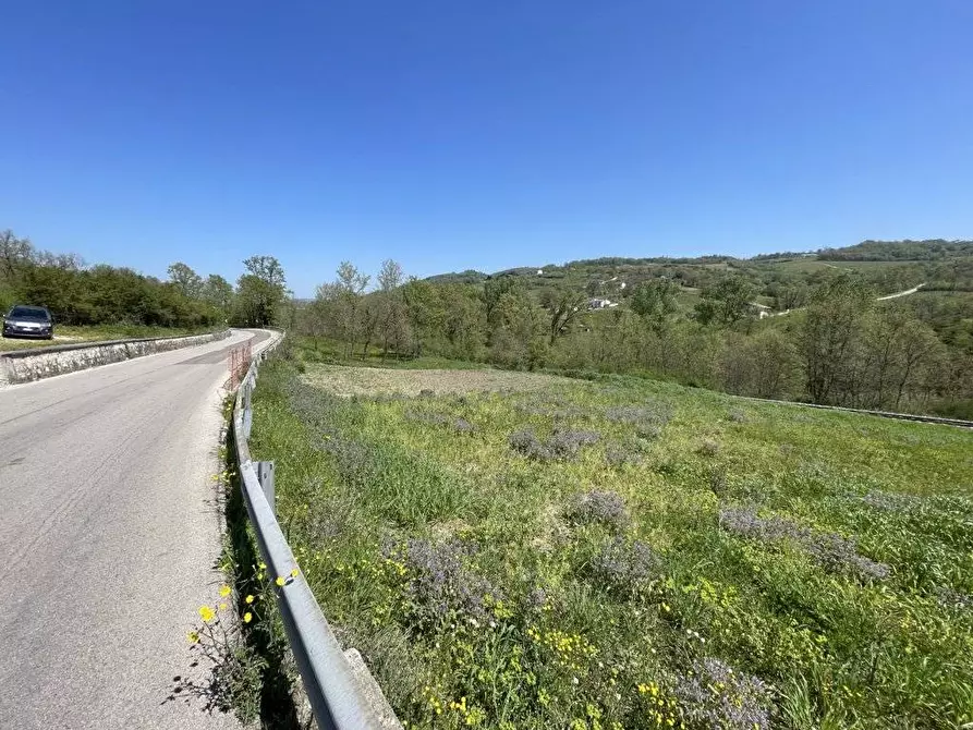 Immagine 2 di Terreno agricolo in vendita  in Casa Arsa a Andretta