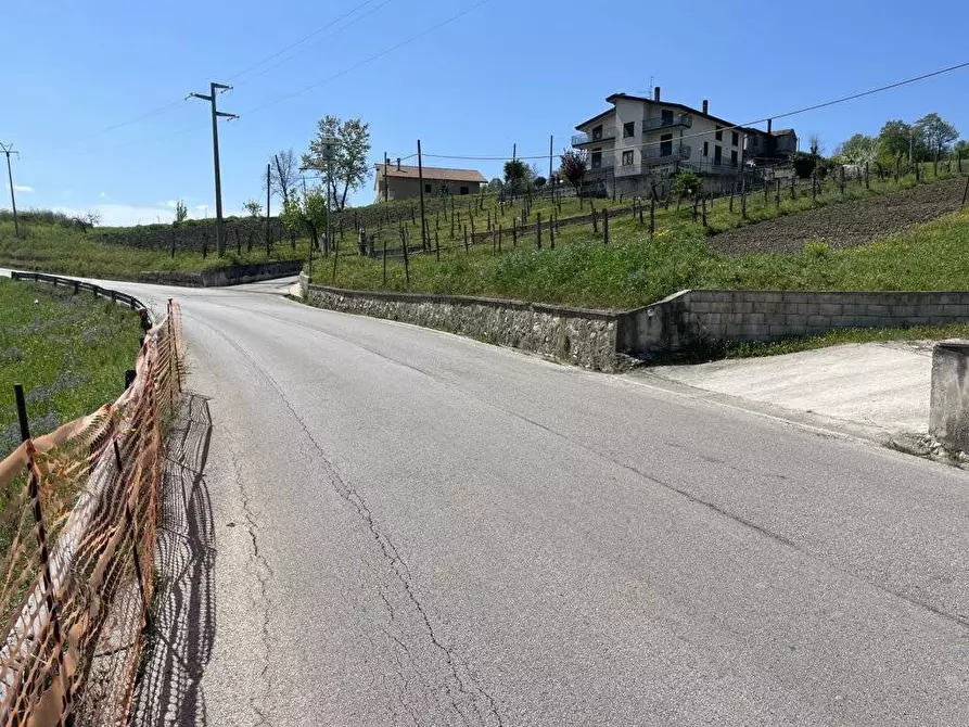 Immagine 5 di Terreno agricolo in vendita  in Casa Arsa a Andretta