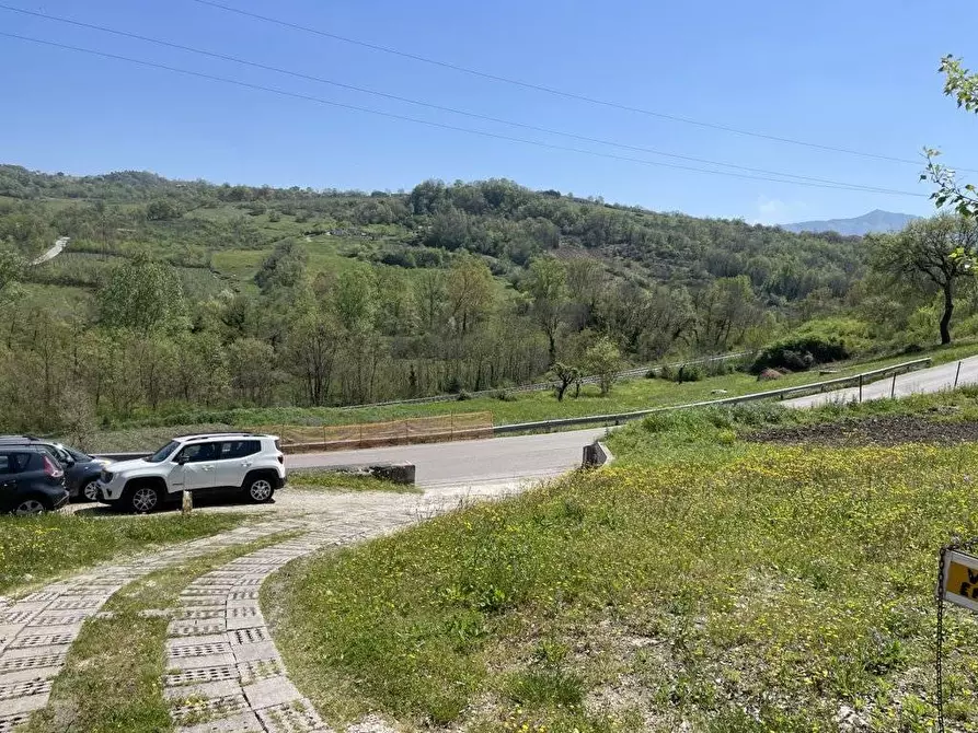 Immagine 6 di Terreno agricolo in vendita  in Casa Arsa a Andretta