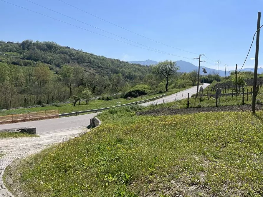 Immagine 7 di Terreno agricolo in vendita  in Casa Arsa a Andretta